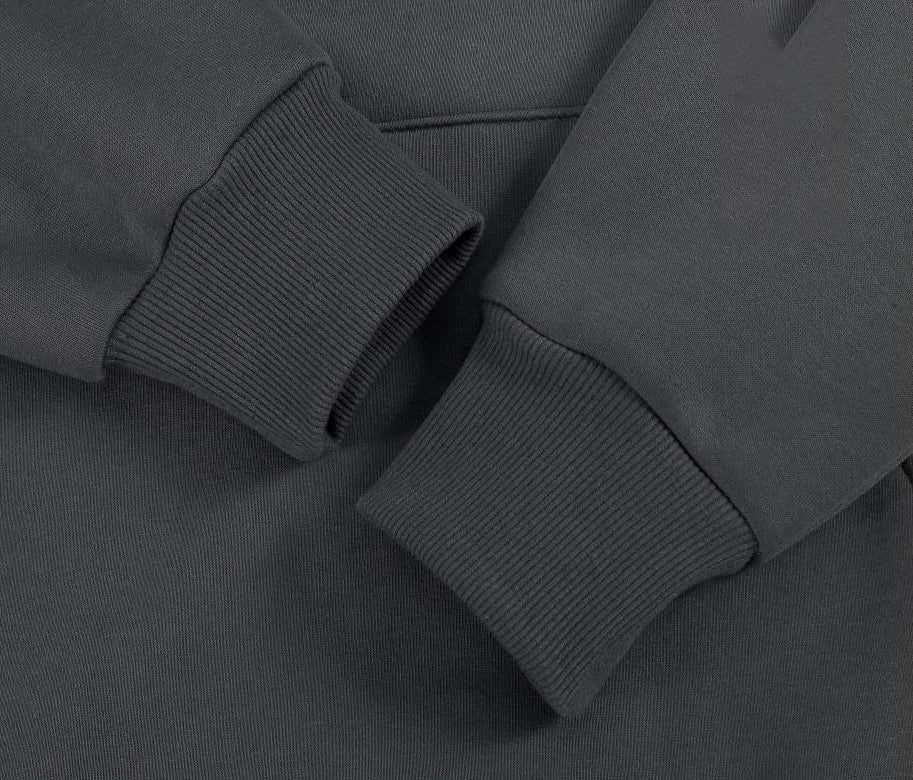 Staple Hoodie - Espiaye Apparel Gray / 2XS Sweatshirt